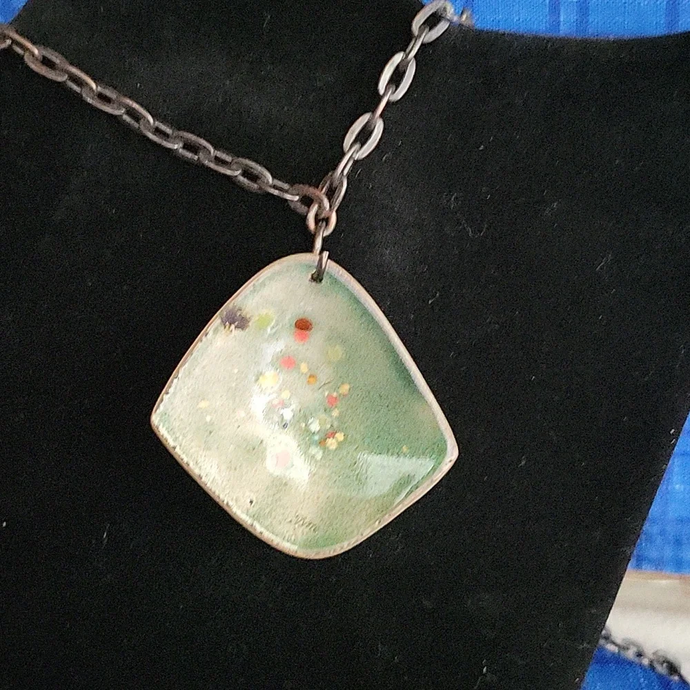 Shell looking - Picture 4 of 5